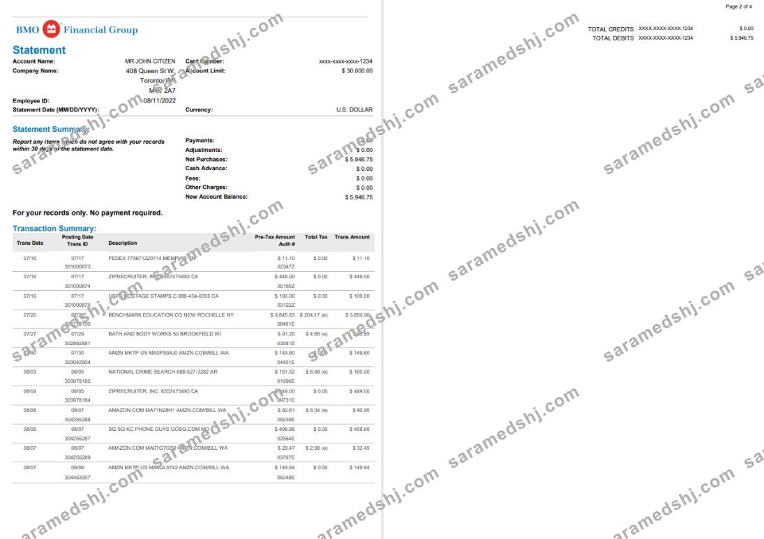 USA BMO bank statement, Word and PDF template, 4 pages